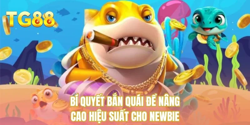 Bí quyết bắn quái để nâng cao hiệu suất cho newbie