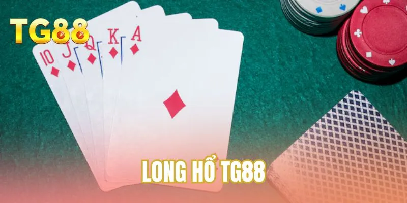 Long hổ TG88